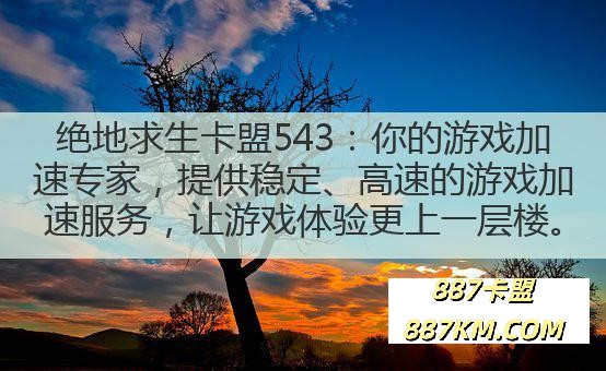 绝地求生卡盟543：你的游戏加速专家，提供稳定、高速的游戏加速服务，让游戏体验更上一层楼。